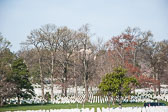 _DSC0637.jpg