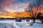_D700968.jpg