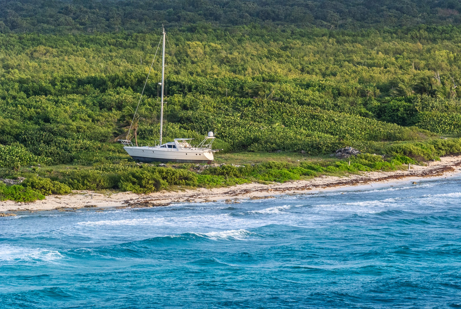 42_2025-Caribbean.jpg
