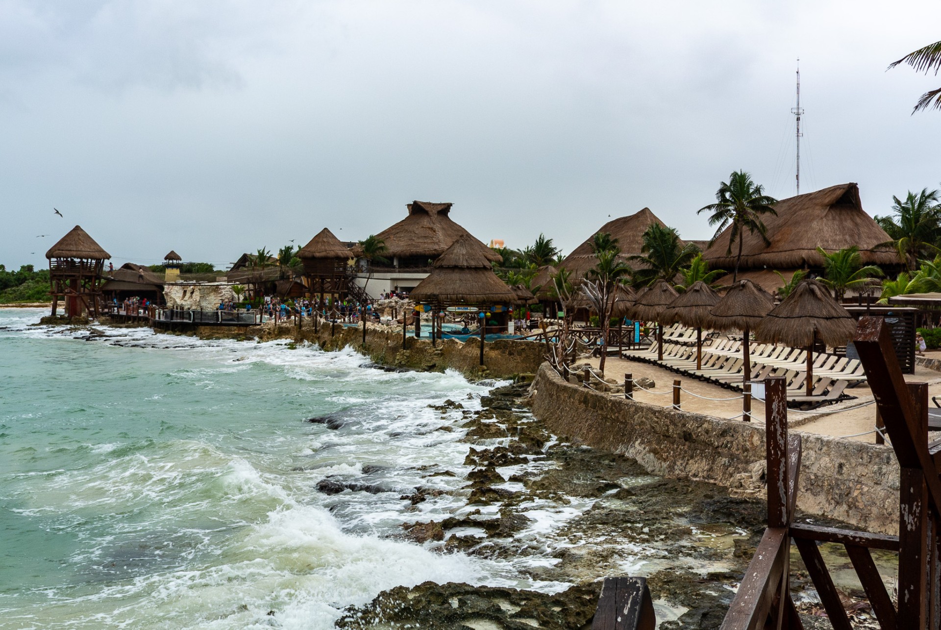 46_2025-Caribbean.jpg