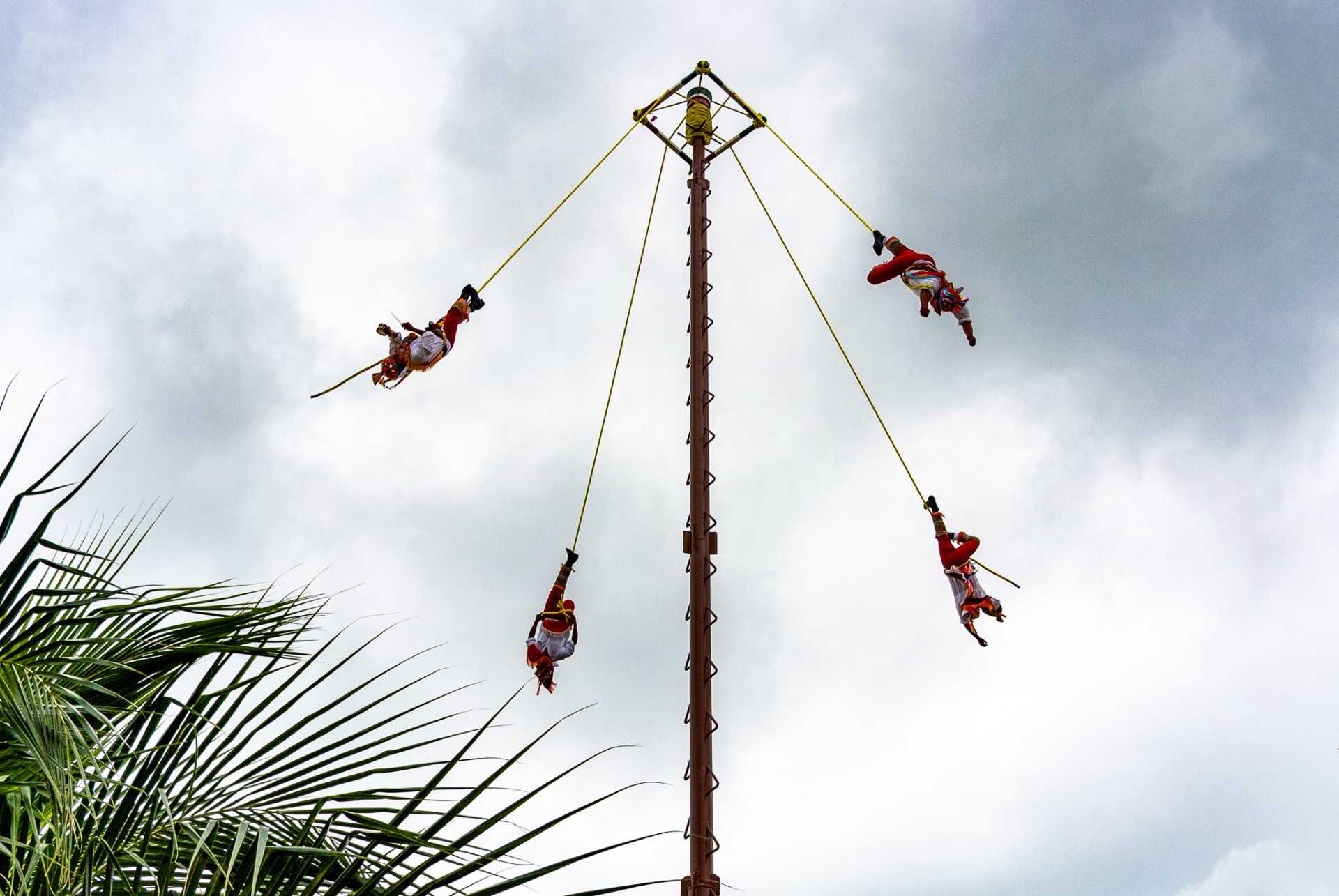 48_2025-Caribbean.jpg