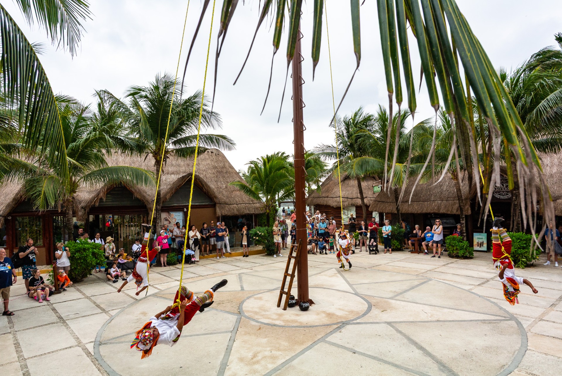 49_2025-Caribbean.jpg