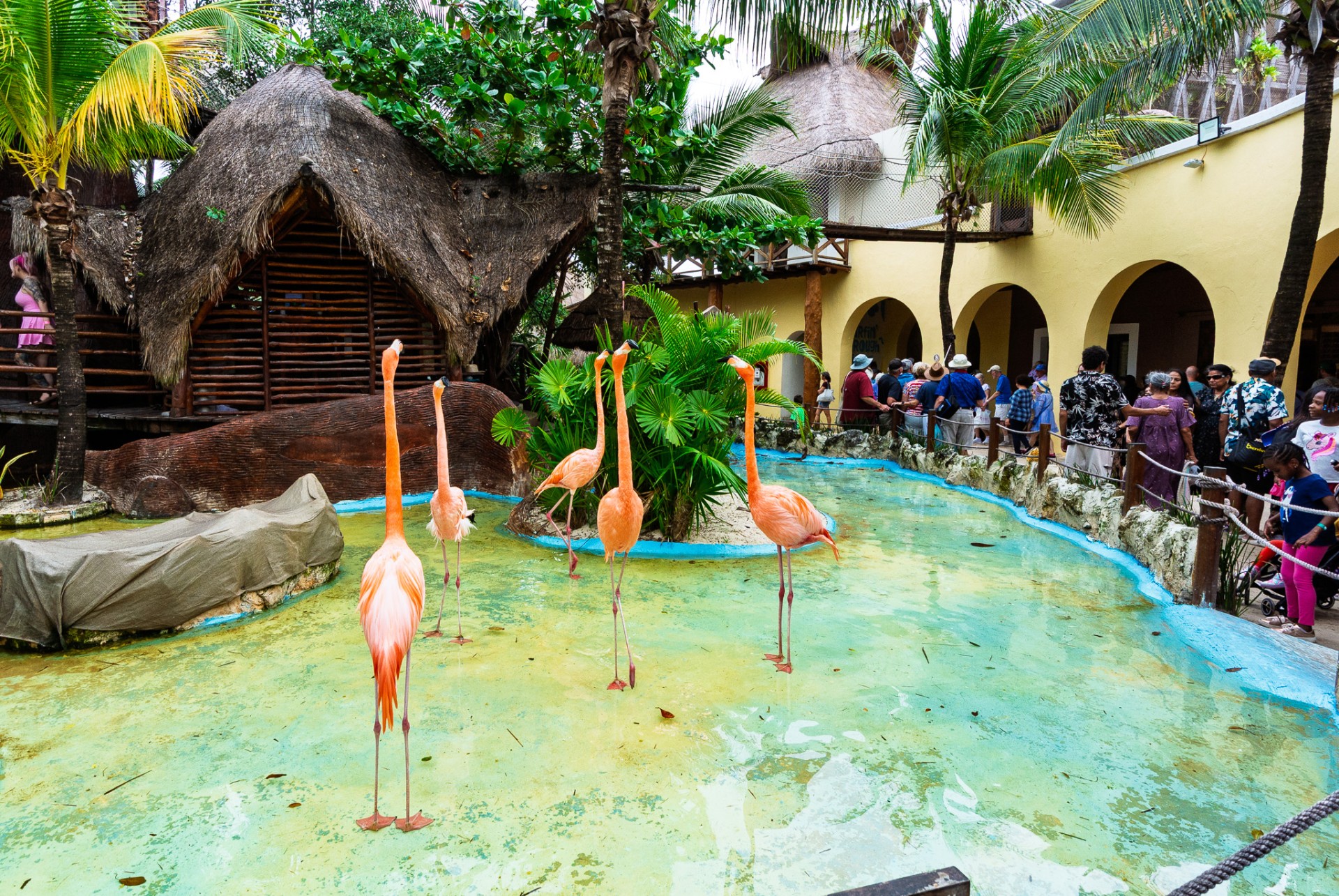 53_2025-Caribbean.jpg