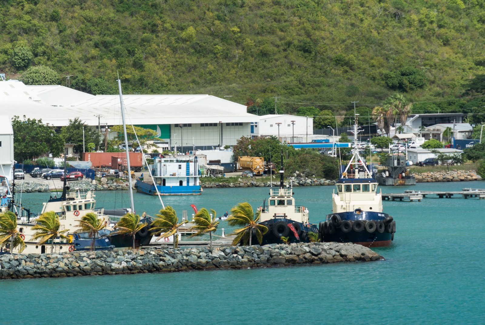 Tortola-0004.jpg