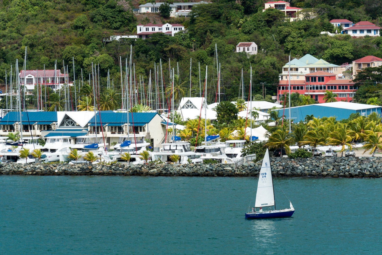 Tortola-0005.jpg