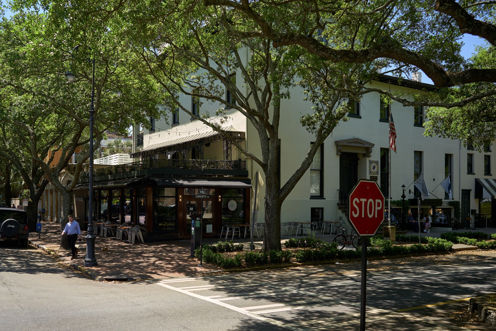 Savannah_07.jpg