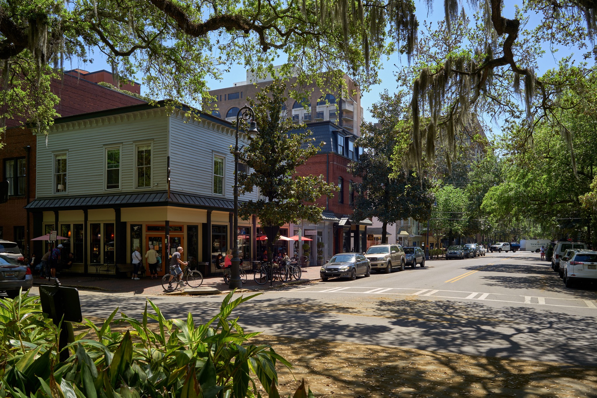 Savannah_28.jpg